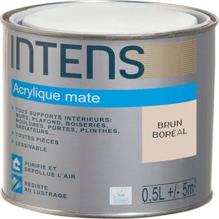 Peinture intérieure multi-supports acrylique monocouche mate brun boreal 0,5 L - INTENS