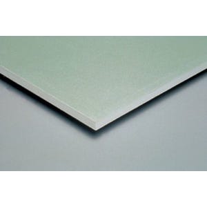 Plaque de plâtre hydrofuge BATIPLAC NF BA13 H.250 x l.120 cm - PLACOPLATRE