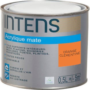 Peinture intérieure multi-supports acrylique monocouche mate orange clémentine  0,5 L - INTENS