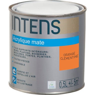 Peinture intérieure multi-supports acrylique monocouche mate orange clémentine  0,5 L - INTENS