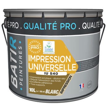 Impression universelle acrylique 10l IU540 - BATIR