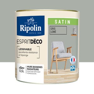 Peinture intérieure multi-supports acrylique satin gris lomé 0,5 L Esprit déco - RIPOLIN