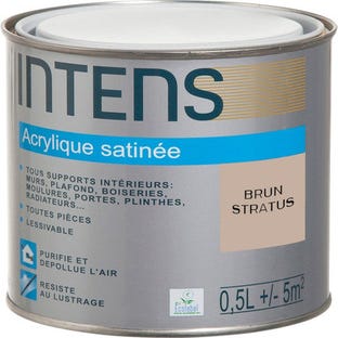 Peinture intérieure multi-supports acrylique monocouche satin brun stratus 0,5 L - INTENS