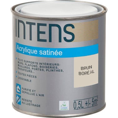Peinture intérieure multi-supports acrylique monocouche satin brun boréal 0,5 L - INTENS