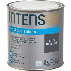 Peinture intérieure multi-supports acrylique monocouche satin gris bakélite 0,5 L - INTENS