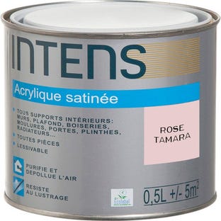 Peinture intérieure multi-supports acrylique monocouche satin rose tarama 0,5 L - INTENS