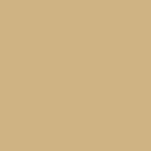 Peinture intérieure velours beige tenda teintée en machine 3 L Altea - GAUTHIER