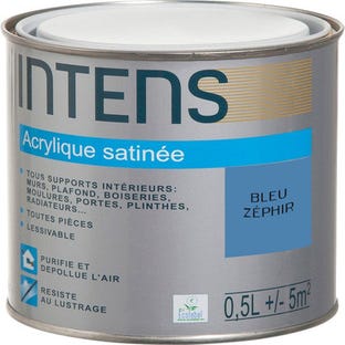 Peinture intérieure multi-supports acrylique monocouche satin bleu zéphir 0,5 L - INTENS