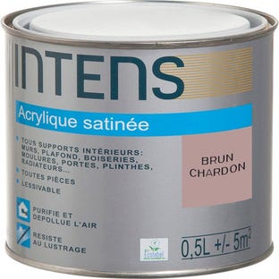 Peinture intérieure multi-supports acrylique monocouche satin brun chardon 0,5 L - INTENS