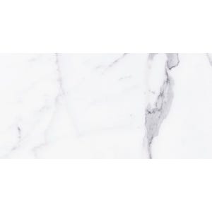 Carrelage intérieur sol et mur blanc effet marbre l.30 x l.60 cm Palatina 