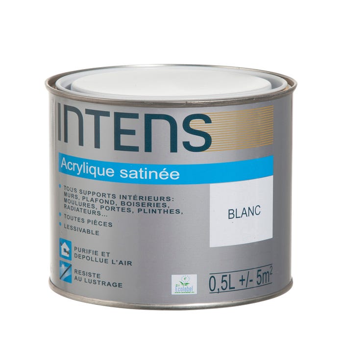 Peinture intérieure multi-supports acrylique monocouche satin blanc 0,5 L - INTENS
