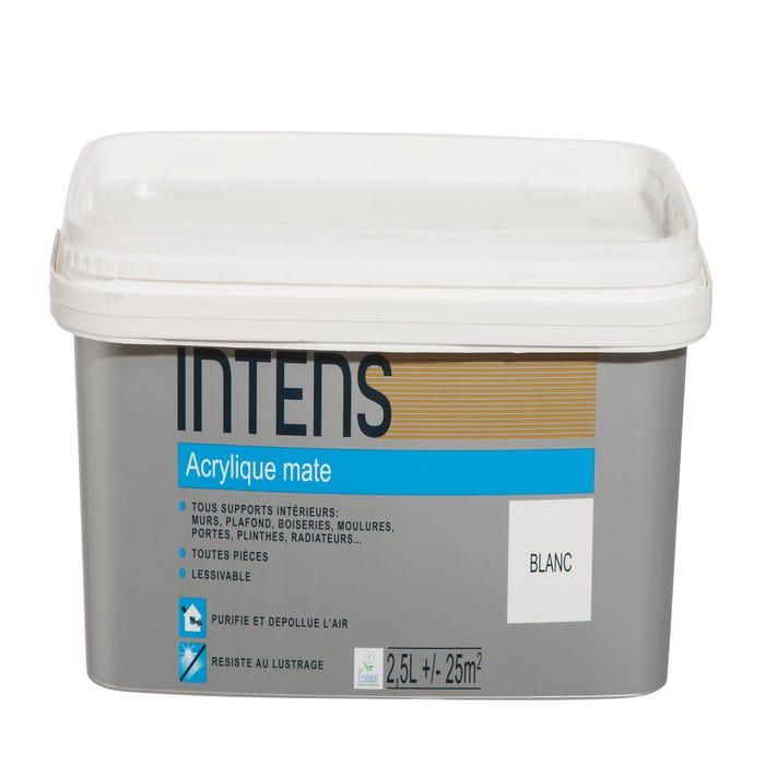 Peinture intérieure multi-supports acrylique monocouche mate blanc 2,5 L - INTENS