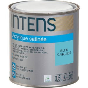Peinture intérieure multi-supports acrylique monocouche satin bleu cascade 0,5 L - INTENS