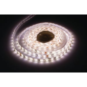 Ruban LED 24V blanc froid 5 m  - INTEGRAL LED