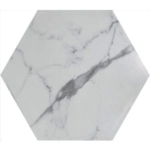 Carrelage sol intérieur effet marbre l.20x L.24cm - Statuarietto White
