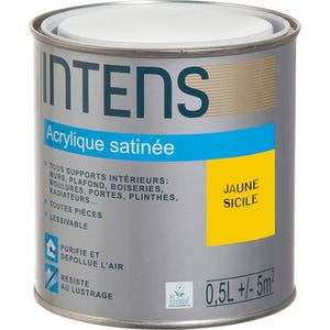 Peinture intérieure multi-supports acrylique monocouche satin jaune sicile 0,5 L - INTENS