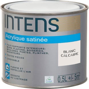 Peinture intérieure multi-supports acrylique monocouche satin blanc calcaire 0,5 L - INTENS