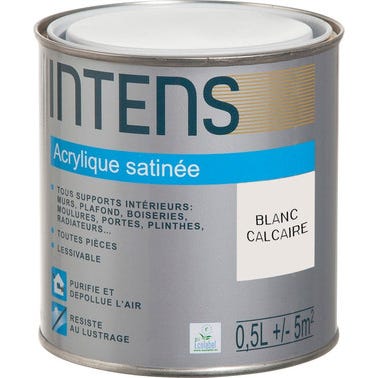 Peinture intérieure multi-supports acrylique monocouche satin blanc calcaire 0,5 L - INTENS