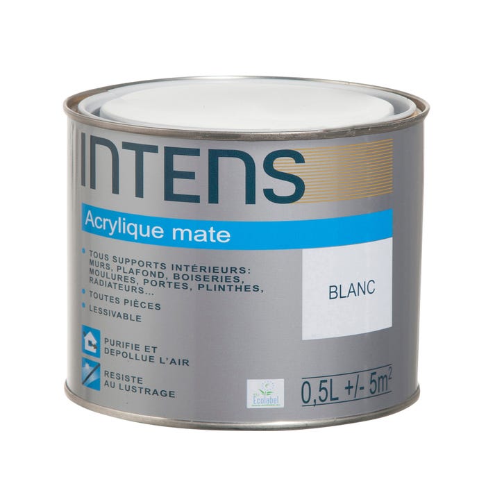 Peinture acrylique mate monocouche brun comete 0.5 L