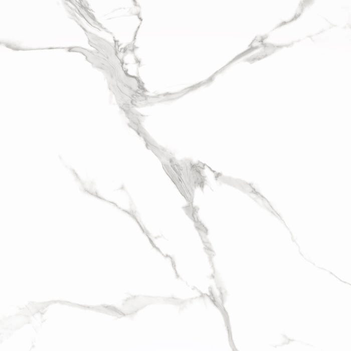 Carrelage sol intérieur effet marbre l.120x L.120cm - Lenox Blanc Poli