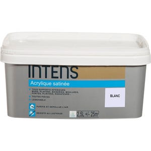 Peinture intérieure multi-supports acrylique monocouche satin blanc 2.5 L - INTENS