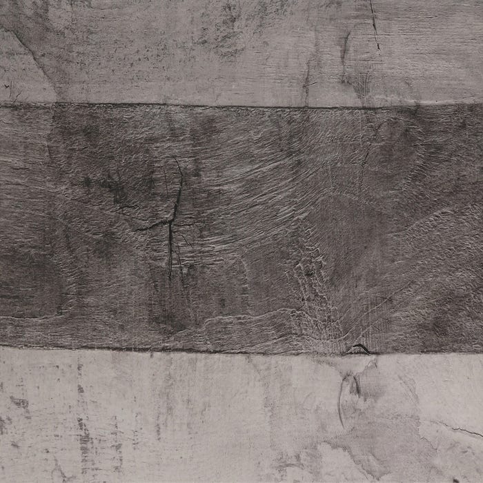 Carrelage intérieur rectifié sol et mur gris effet bois l.30 x L.60 cm Legno Vintage Grey