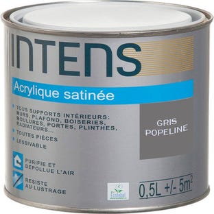 Peinture intérieure multi-supports acrylique monocouche satin gris popeline 0,5 L - INTENS