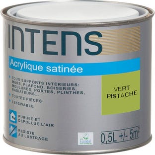 Peinture intérieure multi-supports acrylique monocouche satin vert pistache 0,5 L - INTENS