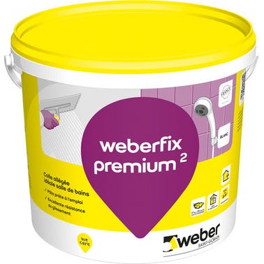 Colle pâte D2ET blanc 17 Kg Weberfix premium² - WEBER