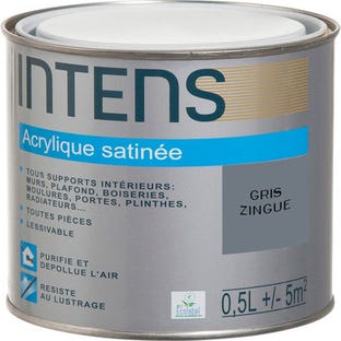 Peinture intérieure multi-supports acrylique monocouche satin gris zingué 0,5 L - INTENS