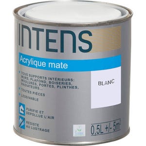 Peinture intérieure multi-supports acrylique monocouche mate blanc 0,5 L - INTENS