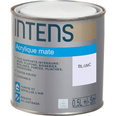 Peinture intérieure multi-supports acrylique monocouche mate blanc 0,5 L - INTENS