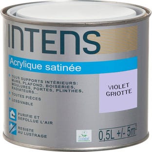 Peinture intérieure multi-supports acrylique monocouche satin violet griotte 0,5 L - INTENS