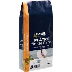 Plâtre fin de Paris en poudre intérieur 5 kg - BOSTIK