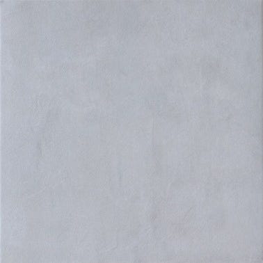 Carrelage intérieur sol et mur gris effet béton l.61,5 x L.61,5 cm Paris Bastille