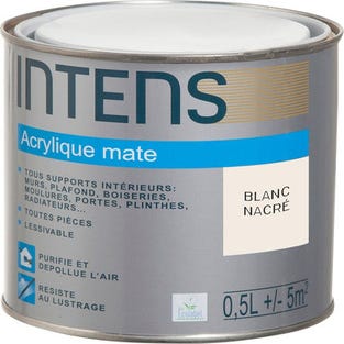 Peinture intérieure multi-supports acrylique monocouche mate blanc nacré 0,5 L - INTENS