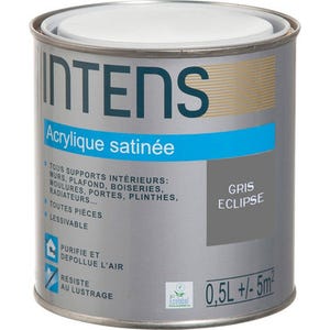 Peinture intérieure multi-supports acrylique monocouche satin gris eclipse 0,5 L - INTENS
