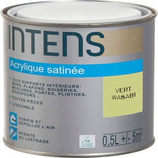 Peinture intérieure multi-supports acrylique monocouche satin vert wasabi 0,5 L - INTENS