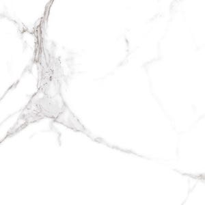 Carrelage sol intérieur effet marbre l.60x L.60cm - Palais Blanc