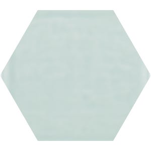 Faience 19,8 x 22,8 cm shiny white hexagonal