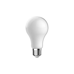 Ampoule LED E27 LED  blanc chaud 1521LM