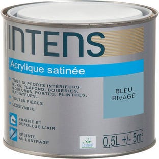 Peinture intérieure multi-supports acrylique monocouche satin bleu rivage 0,5 L - INTENS