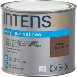 Peinture intérieure multi-supports acrylique monocouche satin brun chocolat 0,5 L - INTENS