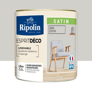 Peinture intérieure multi-supports acrylique satin gris cétus 0,5 L Esprit déco - RIPOLIN