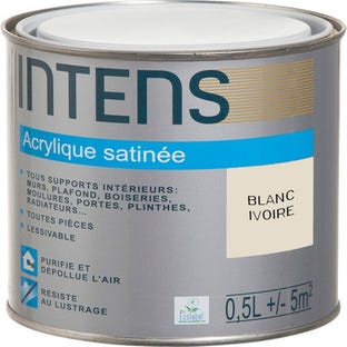 Peinture intérieure multi-supports acrylique monocouche satin blanc ivoire 0,5 L - INTENS