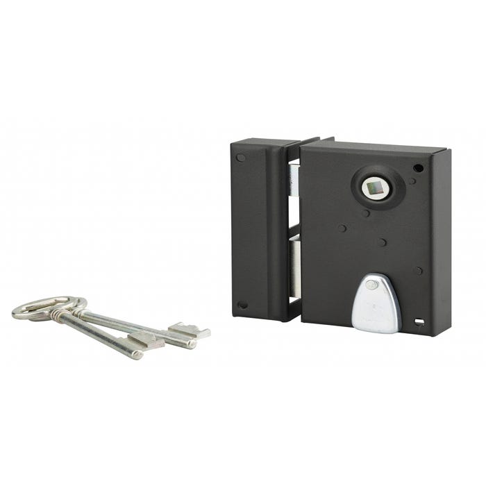 THIRARD - Serrure verticale en applique à clé à fouillot pour portail, gauche, axe 40mm, 70x110mm, noir, 2 clés