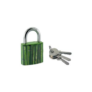 THIRARD - Cadenas à clé Green Idea Bambou, acier, intérieur, anse acier, 30mm, 2 clés