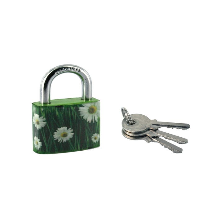 THIRARD - Cadenas à clé Green Idea Marguerite, acier, intérieur, anse acier, 30mm, 2 clés