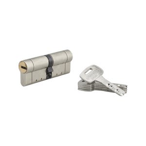 THIRARD - Cylindre de serrure double entrée Federal S, 40x40mm, nickel, anti-arrachement, anti-perçage, 5 clés