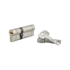 THIRARD - Cylindre de serrure double entrée Federal S, 30x50mm, nickel, anti-arrachement, anti-perçage, 5 clés
